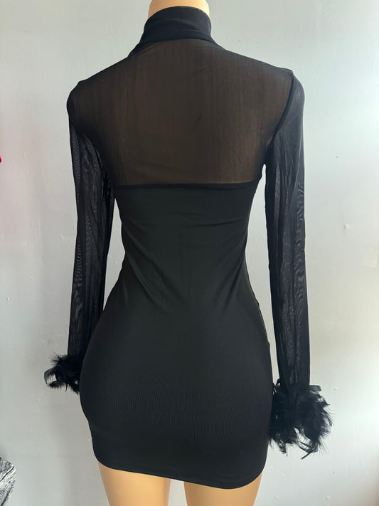 Long sleeve mesh feather dress (Black)